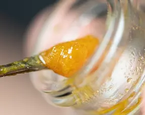 female hand grabbing an edible from a jar